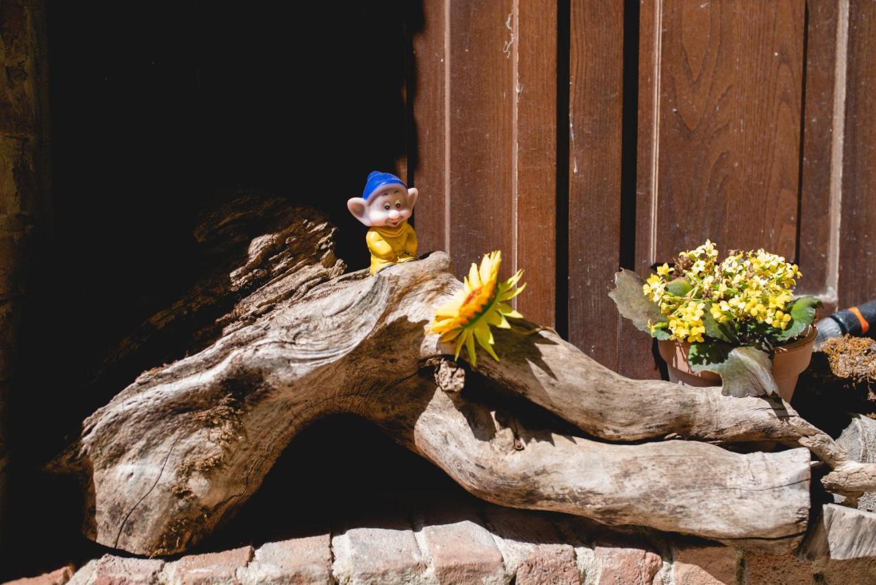 Antico Borgo Di Torri Bed & Breakfast Sovicille Ngoại thất bức ảnh