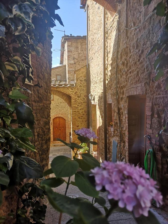 Antico Borgo Di Torri Bed & Breakfast Sovicille Ngoại thất bức ảnh
