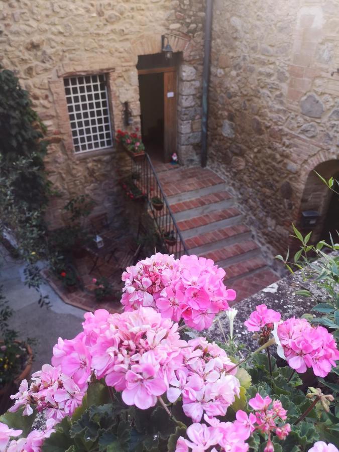 Antico Borgo Di Torri Bed & Breakfast Sovicille Ngoại thất bức ảnh